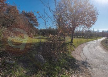 Foto 27 - Rustico Contrada Scimitelli
 
snc, Veroli - foto 27