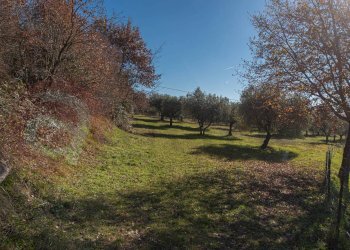 Foto 28 - Rustico Contrada Scimitelli
 
snc, Veroli - foto 28