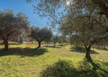 Foto 29 - Rustico Contrada Scimitelli
 
snc, Veroli - foto 29