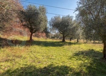 Foto 30 - Rustico Contrada Scimitelli
 
snc, Veroli - foto 30