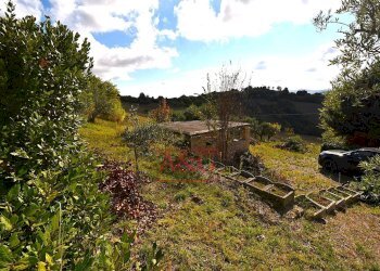 Foto 11 - Independent house Via Vincenzo Bellini, Falerone - photo 11