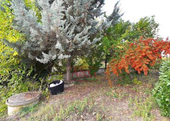 Foto 39 - Independent house Via Vincenzo Bellini, Falerone - photo 39