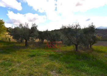 Foto 45 - Independent house Via Vincenzo Bellini, Falerone - photo 45