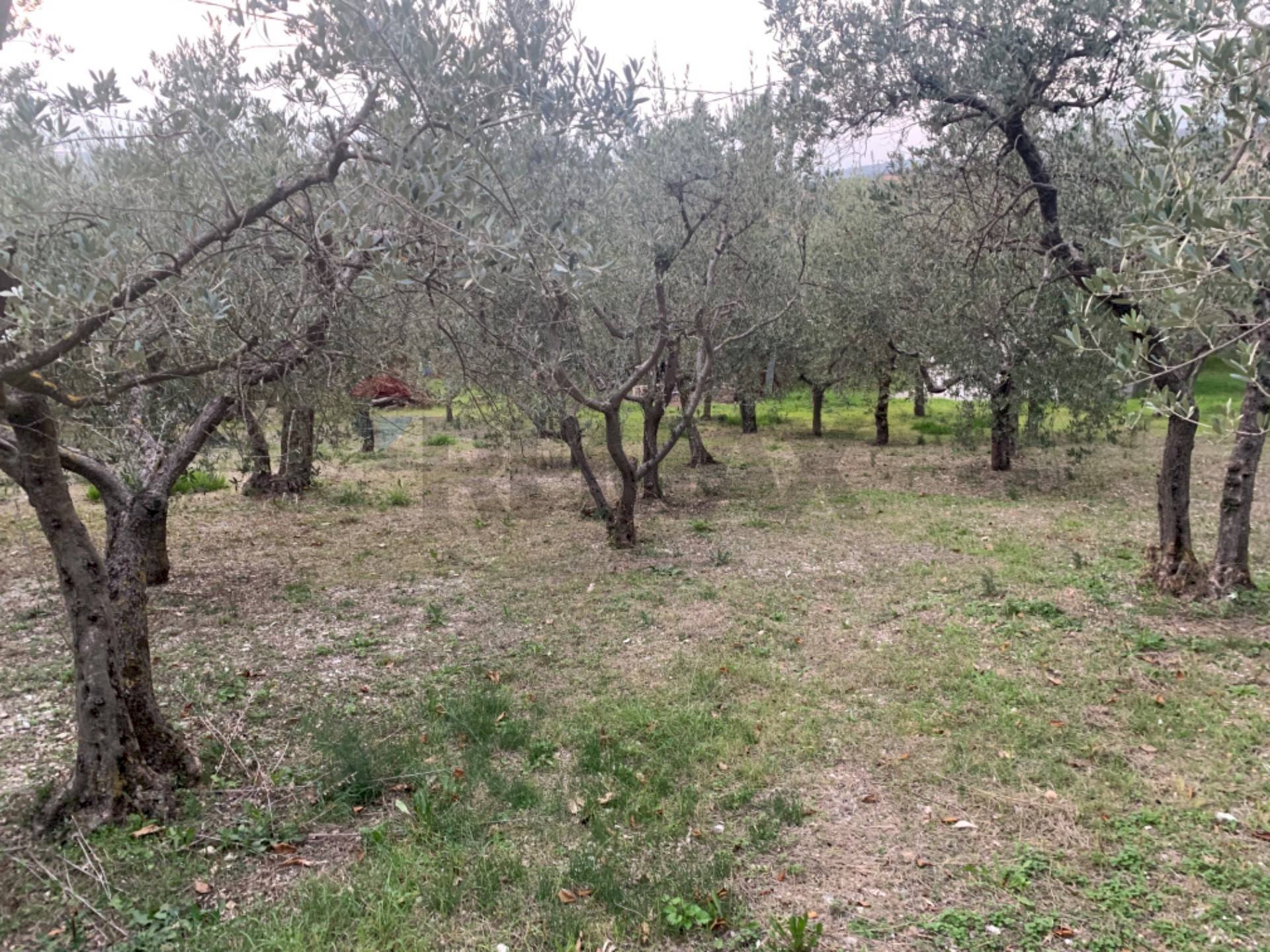 Giardino - Building land Via Pozzolo, Assisi - photo 2
