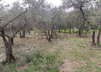 Giardino - Terreno edificabile Via Pozzolo, Assisi - foto 2