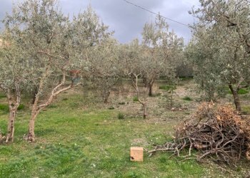 Giardino - Terreno edificabile Via Pozzolo, Assisi - foto 8