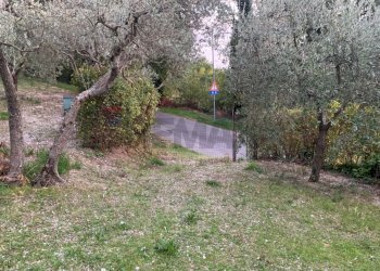 Giardino - Terreno edificabile Via Pozzolo, Assisi - foto 9