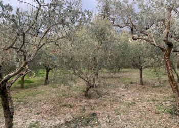 Giardino - Terreno edificabile Via Pozzolo, Assisi - foto 13