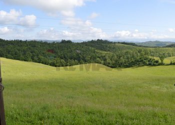 Giardino - Casa indipendente casacastalda, Valfabbrica - foto 17