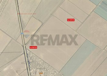 Pianta 2D - Terreno agricolo Località Posta Tuoro - HPQW+HX5, San Giovanni Rotondo - foto 2