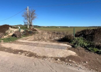 Vista delle montagne - Terreno agricolo Località Posta Tuoro - HPQW+HX5, San Giovanni Rotondo - foto 7