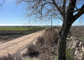 Vista delle montagne - Terreno agricolo Località Posta Tuoro - HPQW+HX5, San Giovanni Rotondo - foto 10
