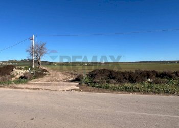 Vista delle montagne - Terreno agricolo Località Posta Tuoro - HPQW+HX5, San Giovanni Rotondo - foto 15