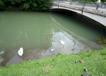 Foto 37 - Appartamento Treviso - foto 37