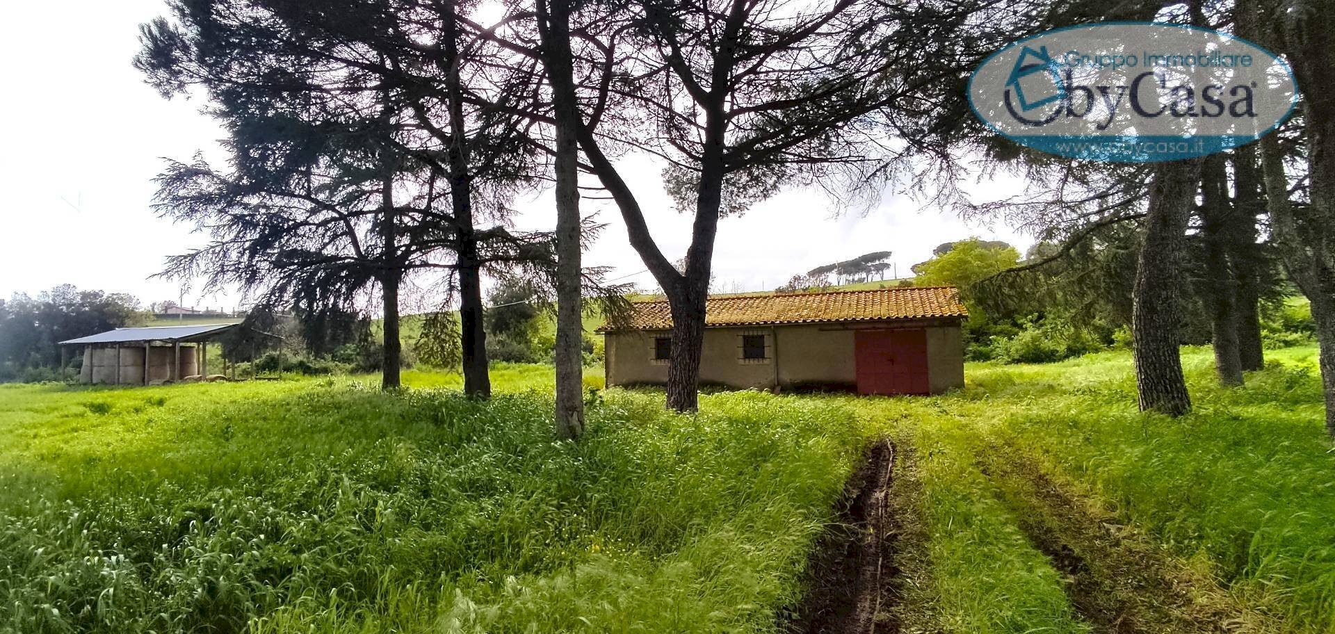 Foto 1 - Terreno agricolo via castel giuliano
 
58, Bracciano - foto 1