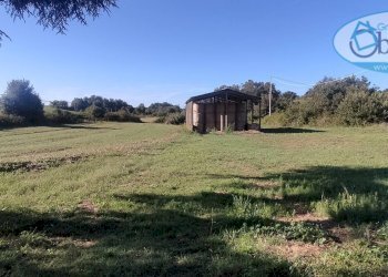 Foto 2 - Terreno agricolo via castel giuliano
 
58, Bracciano - foto 2