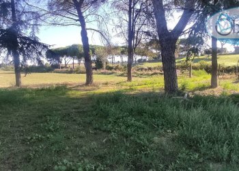 Foto 3 - Terreno agricolo via castel giuliano
 
58, Bracciano - foto 3