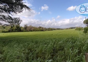 Foto 4 - Terreno agricolo via castel giuliano
 
58, Bracciano - foto 4