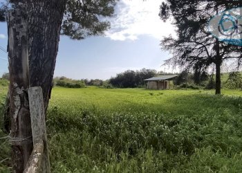 Foto 5 - Terreno agricolo via castel giuliano
 
58, Bracciano - foto 5