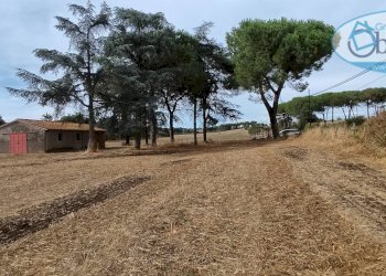 Foto 7 - Terreno agricolo via castel giuliano
 
58, Bracciano - foto 7