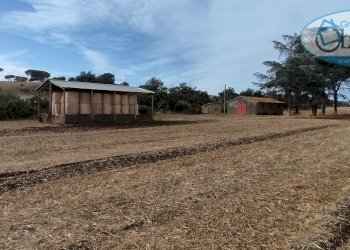 Foto 8 - Terreno agricolo via castel giuliano
 
58, Bracciano - foto 8