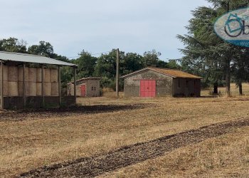 Foto 9 - Terreno agricolo via castel giuliano
 
58, Bracciano - foto 9