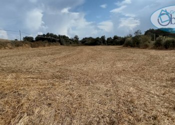 Foto 10 - Terreno agricolo via castel giuliano
 
58, Bracciano - foto 10