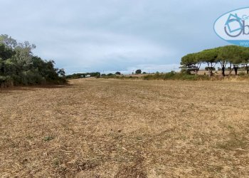 Foto 11 - Terreno agricolo via castel giuliano
 
58, Bracciano - foto 11