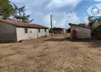 Foto 12 - Terreno agricolo via castel giuliano
 
58, Bracciano - foto 12