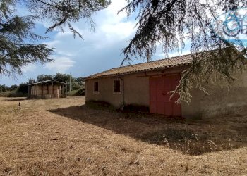 Foto 13 - Terreno agricolo via castel giuliano
 
58, Bracciano - foto 13