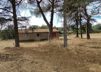 Foto 14 - Terreno agricolo via castel giuliano
 
58, Bracciano - foto 14