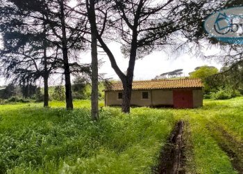 Foto 1 - Terreno agricolo via castel giuliano
 
58, Bracciano - foto 1