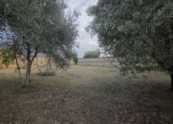 Foto 29 - Villa via Montagnano
 
232, Albano Laziale - foto 29