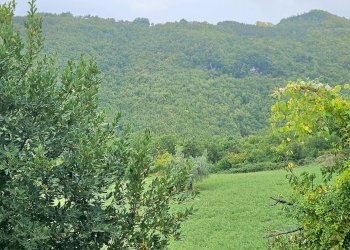 Foto 21 - Casa semi indipendente 10 Min. dal centro, Teramo - foto 21