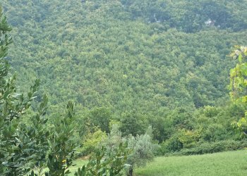 Foto 22 - Casa semi indipendente 10 Min. dal centro, Teramo - foto 22