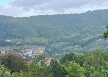 Foto 23 - Casa semi indipendente 10 Min. dal centro, Teramo - foto 23