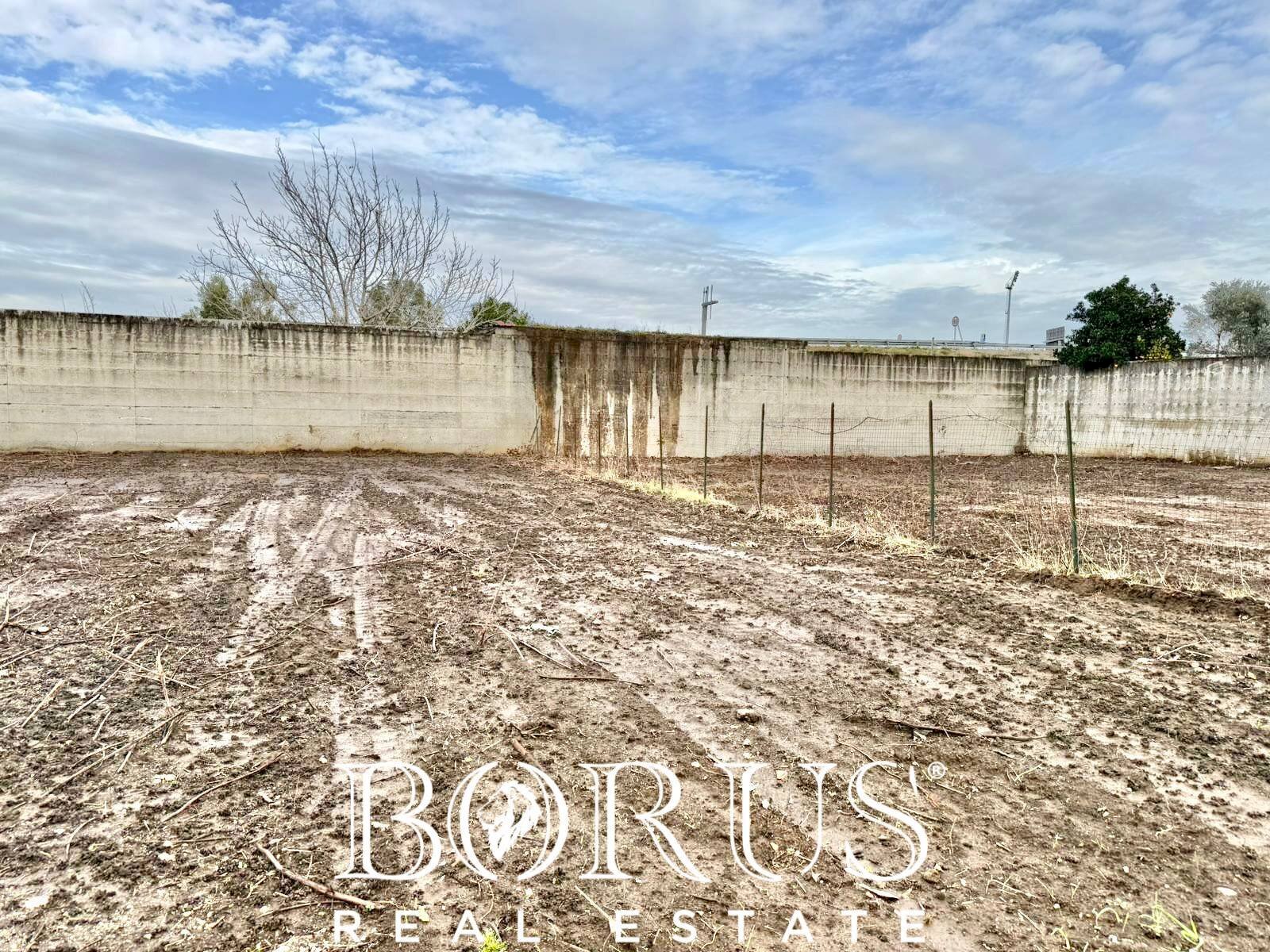 Foto 2 - Terreno agricolo via del pozzo, Casal di Principe - foto 2