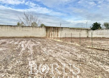 Foto 2 - Terreno agricolo via del pozzo, Casal di Principe - foto 2