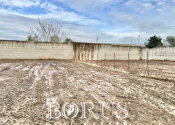 Foto 7 - Terreno agricolo via del pozzo, Casal di Principe - foto 7