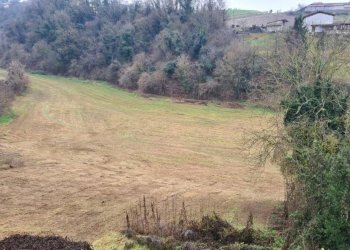 Terreno - Rustico Moncalvo - foto 6