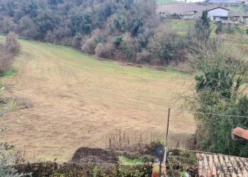 Terreno - Rustico Moncalvo - foto 20