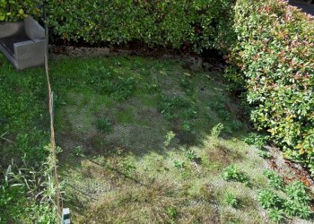 DSC_0021.JPG - Trilocale Via Bussolati, Fontanellato - foto 21