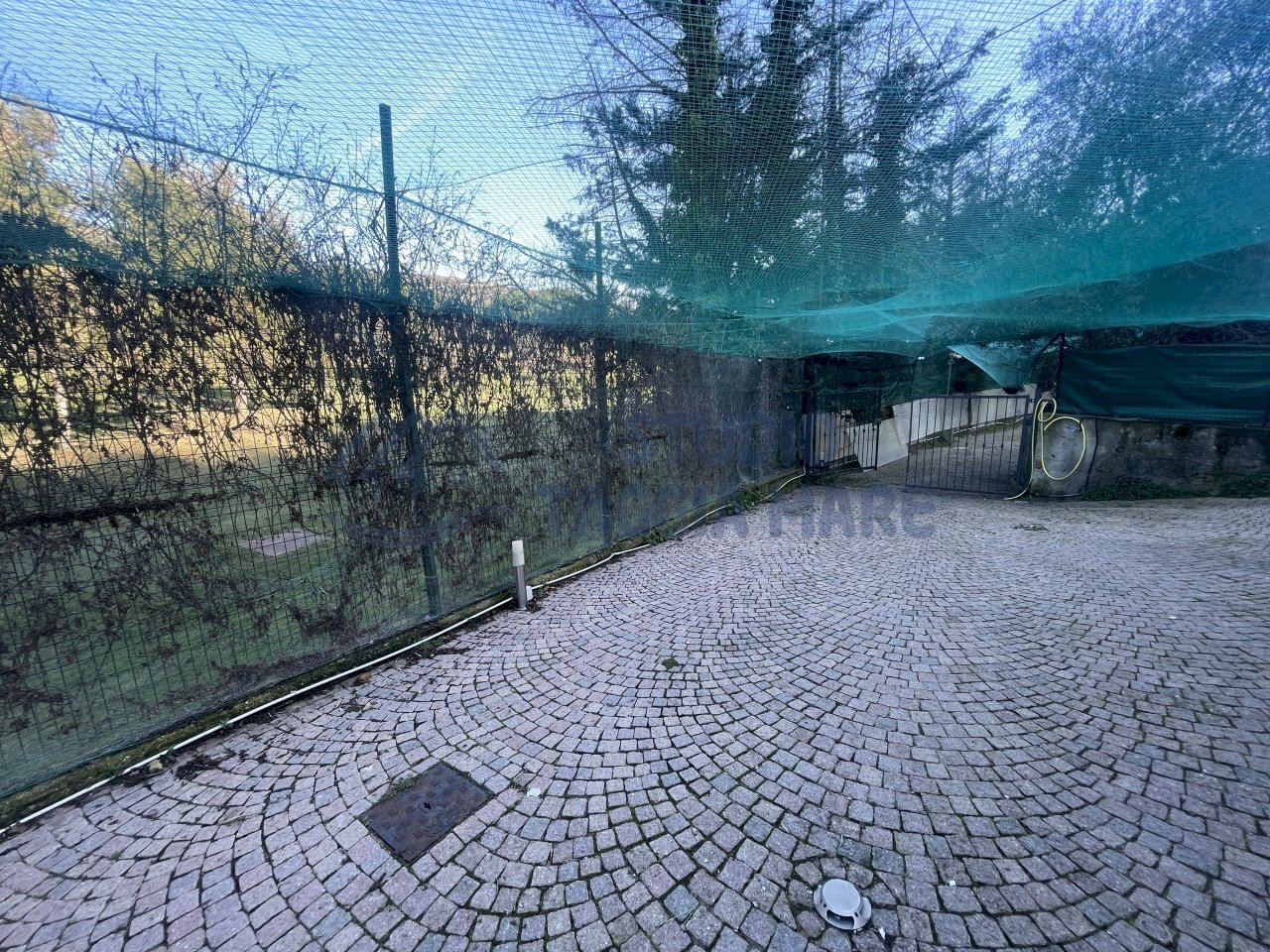 IMG_7930.JPG - Porzione di casa Strada per i Piani, Castellaro - foto 1