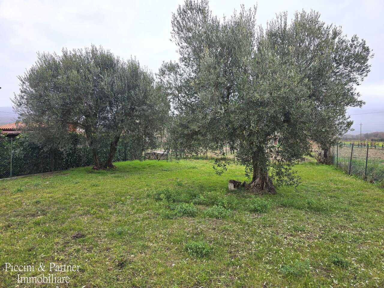 01.jpg - Quadrilocale Via George Byron 59, Tuoro sul Trasimeno - foto 1