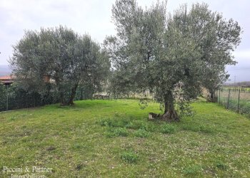 01.jpg - Quadrilocale Via George Byron 59, Tuoro sul Trasimeno - foto 1