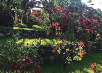 Villa via brigate cento croci, 21 
 Mezzema, Deiva Marina - foto 22