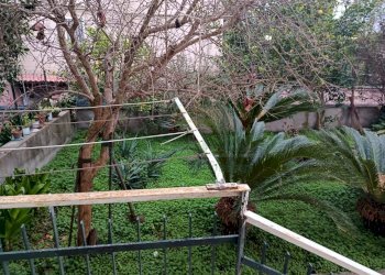 Foto 35 - Trilocale via maddalena, Caserta - foto 35