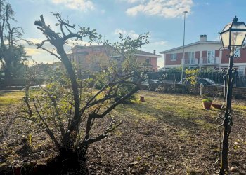 Foto 12 - Villa Via Dei Redattori
 
109, Roma - photo 12