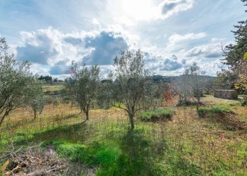 Vista delle montagne - Villa CONTRADA PIANO CANNATA
 
snc, Piazza Armerina - foto 47