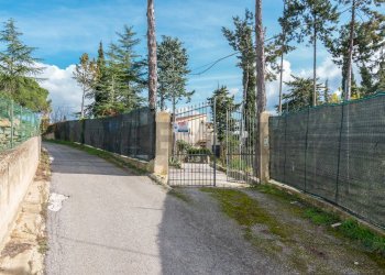 Giardino - Villa CONTRADA PIANO CANNATA
 
snc, Piazza Armerina - foto 59